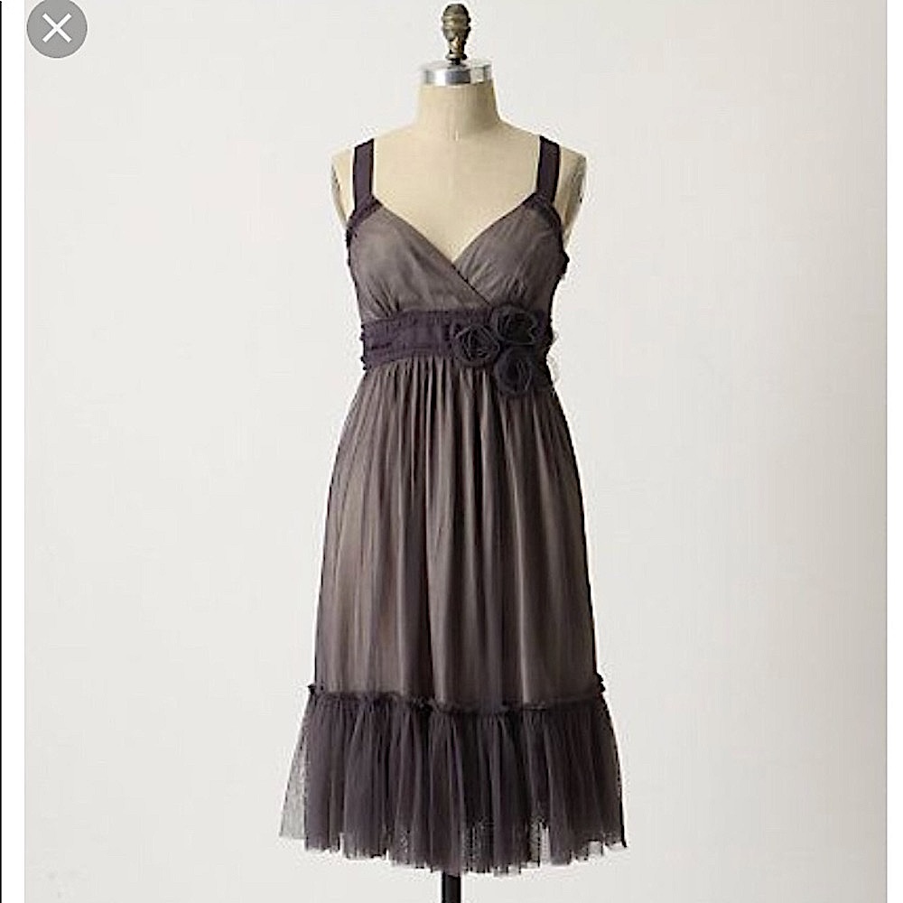 Anthro Moulinette Soeurs Spirited Away Tulle Dress